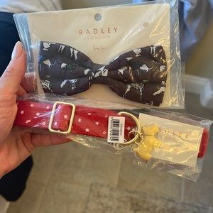 Large dog collar and bow tie